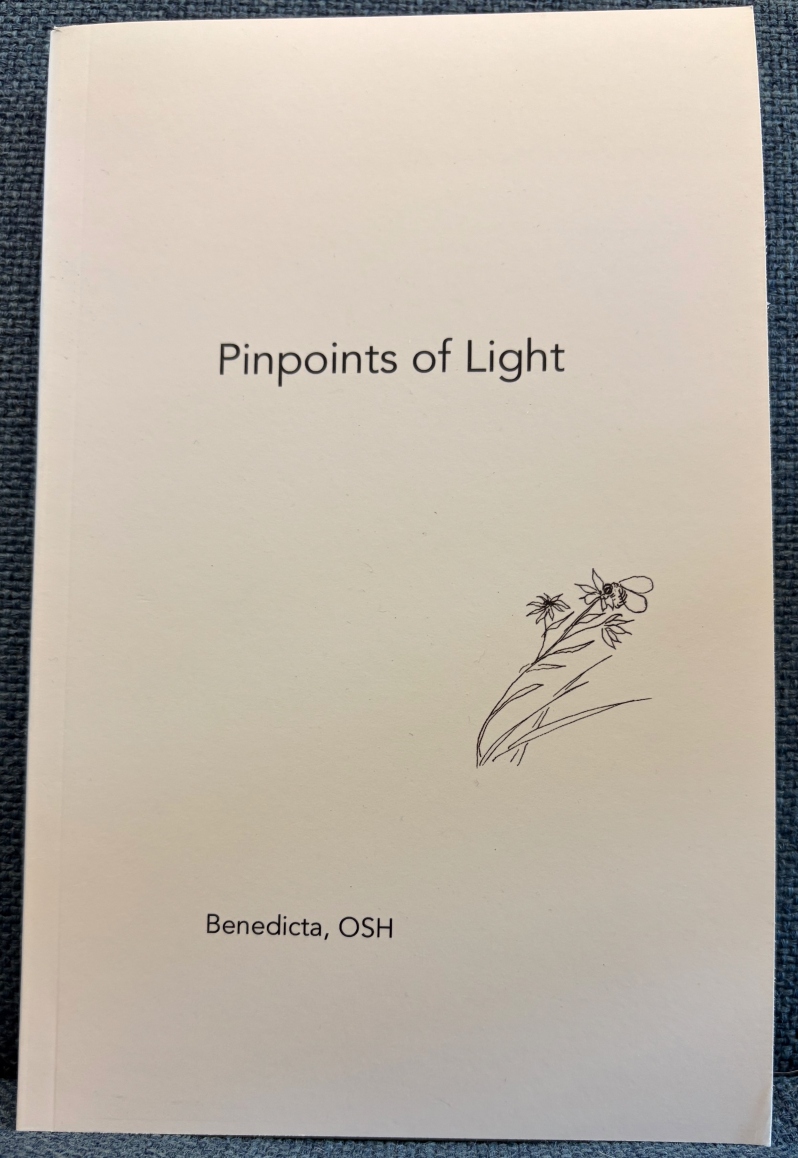 Pinpoints of Light - Formal Haiku
